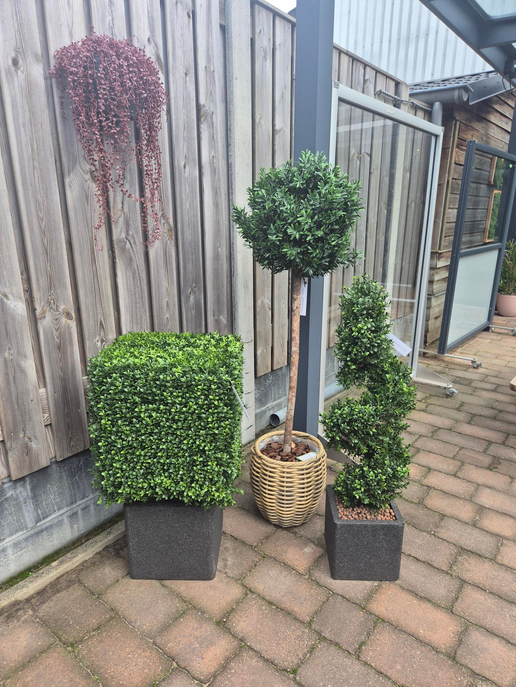Buitenkunst Buxus Kubus 40 cm UV-beschermd