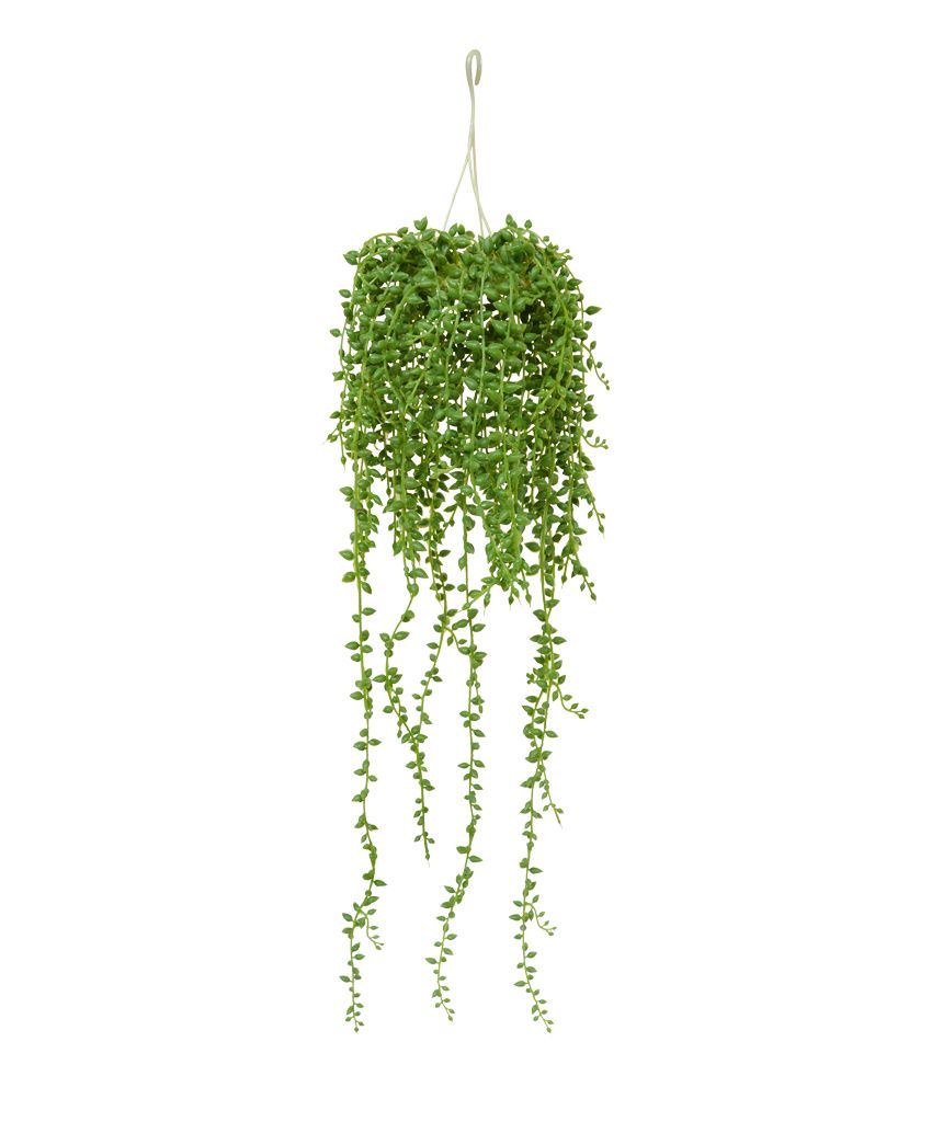Senecio kunst hangplant 60 cm