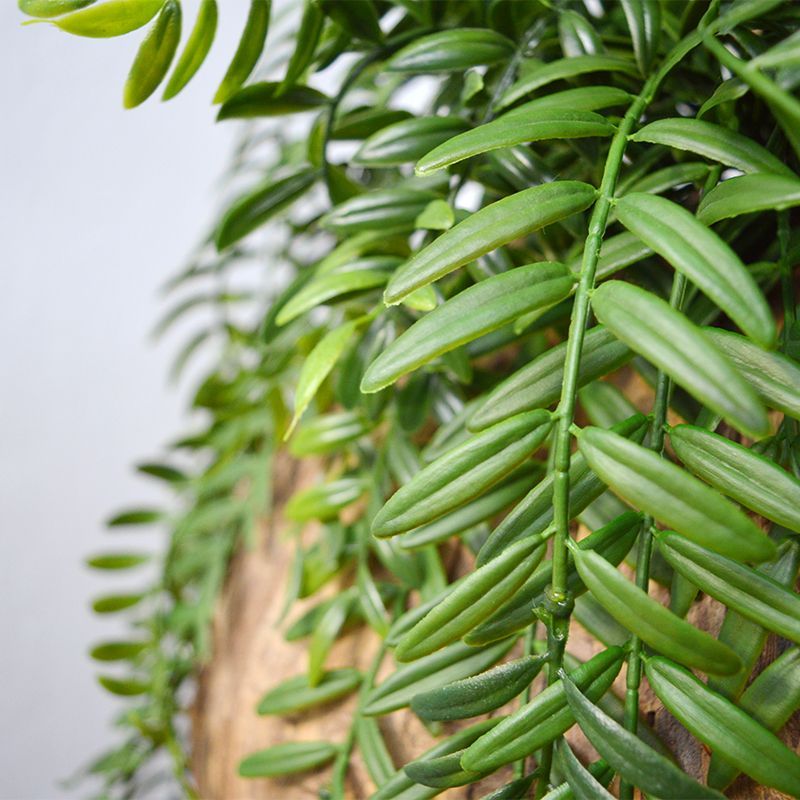 Columnea kunst hangplant 65cm