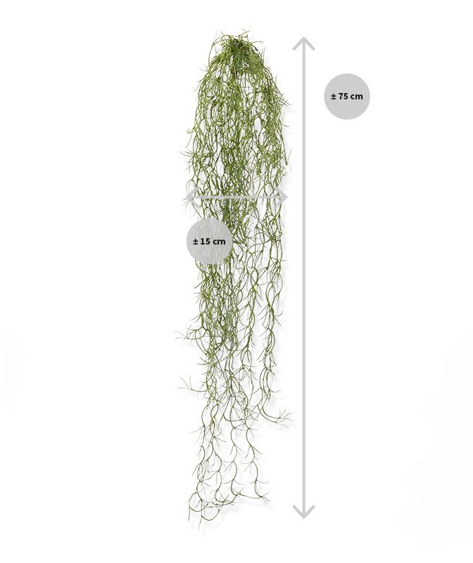 Tillandsia kunsthanger 75cm