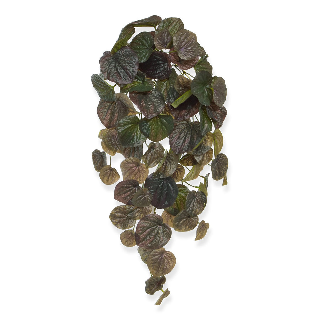 Peperomia Caperata kunsthanger 60cm - burgundy