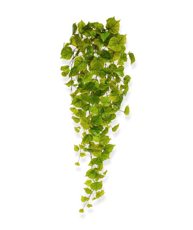 Populier kunst hangplant 80cm