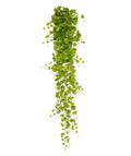 Populier kunst hangplant 170cm