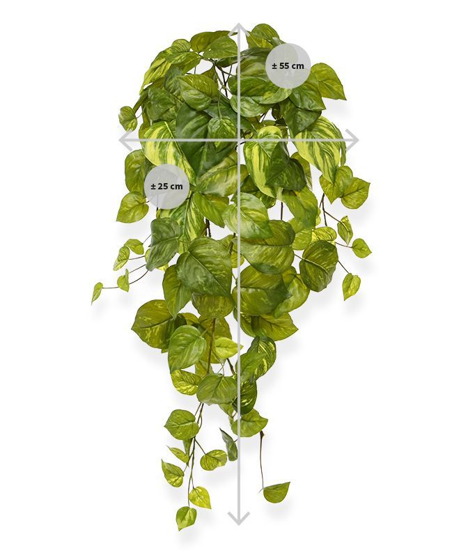 Pothos kunst hangplant 55cm - bont
