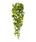 Pothos kunsthanger 90cm - bont