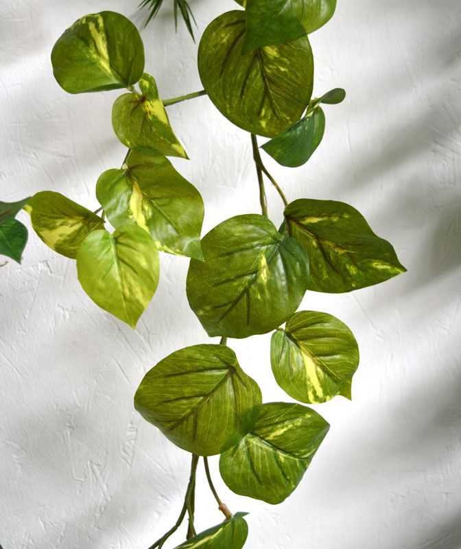 Scindapsus kunst Guirlande RT 180cm