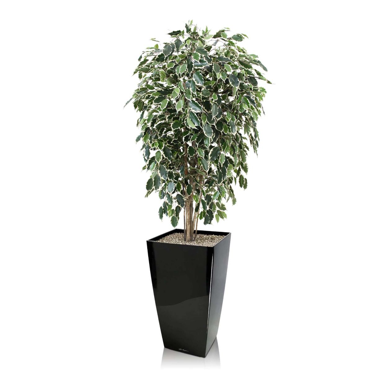 Ficus Exotica deluxe kunstboom 150cm - bont