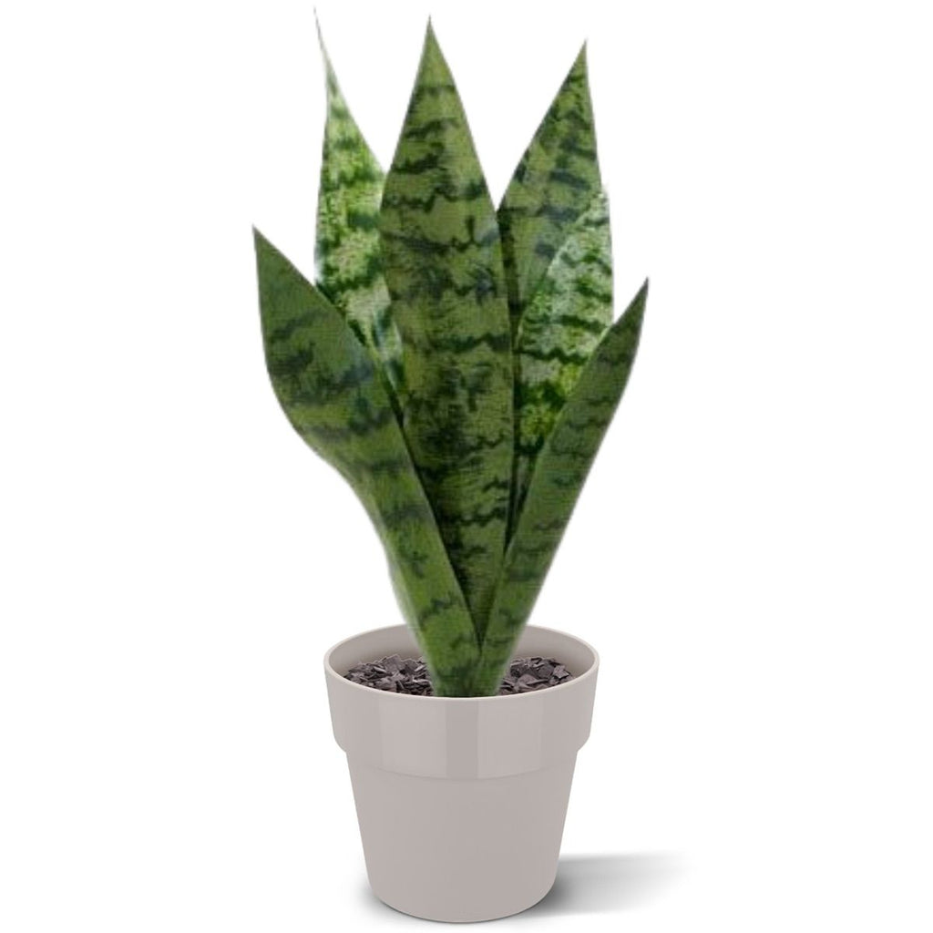 Sanseveria kunstplant 40cm - groen