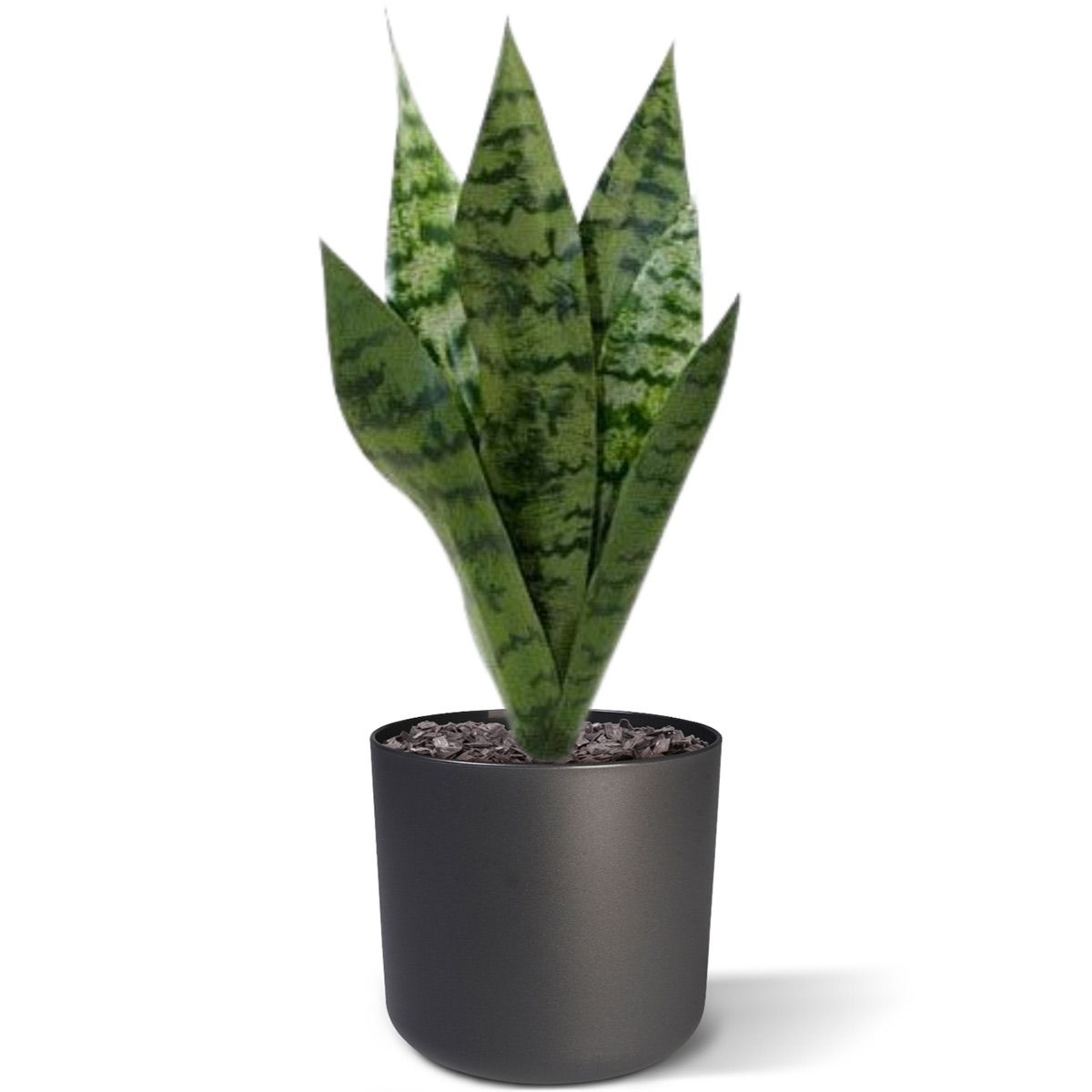 Sanseveria kunstplant 40cm - groen