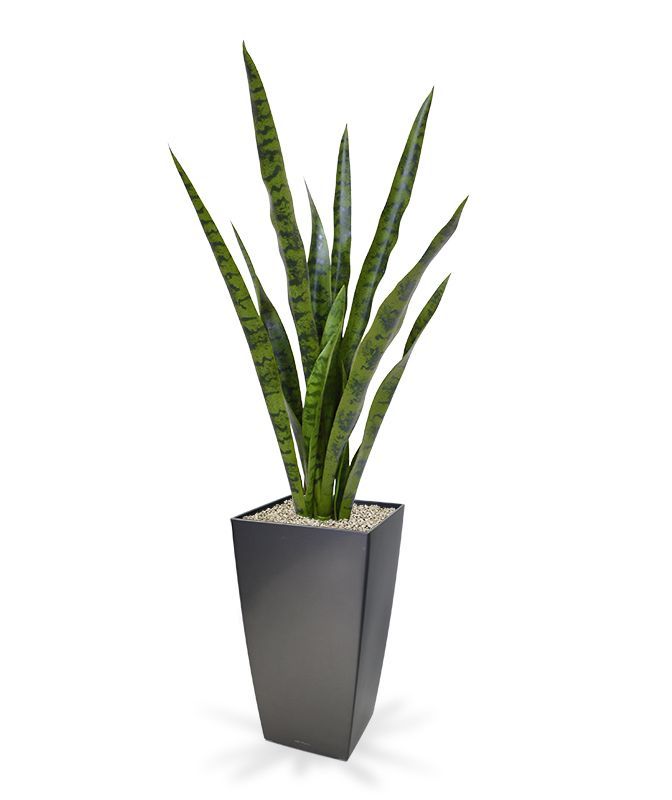 Sansevieria kunstplant 78 cm