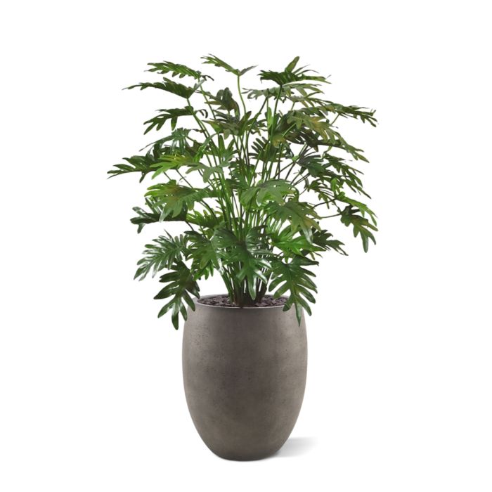 Philo Xanadu deluxe kunstplant 110cm