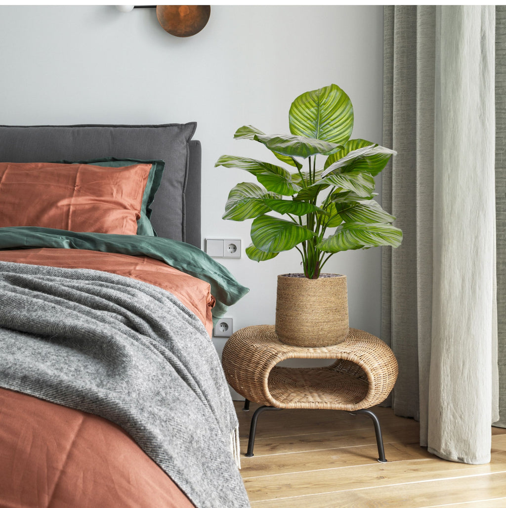 Calathea Fasciata kunstplant 70cm