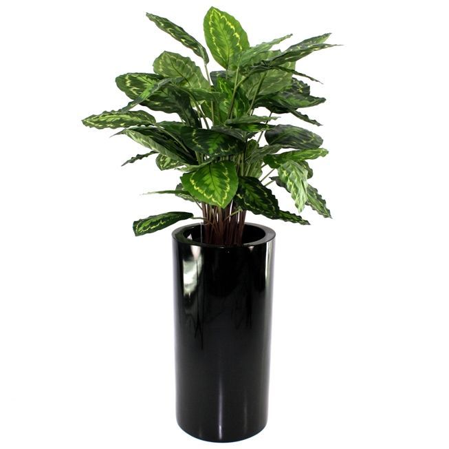 Calathea Rosea Picta kunstplant 80cm