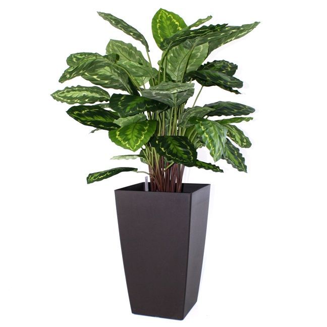 Calathea Rosea Picta kunstplant 80cm