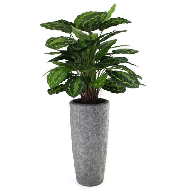 Calathea Rosea Picta kunstplant 80cm