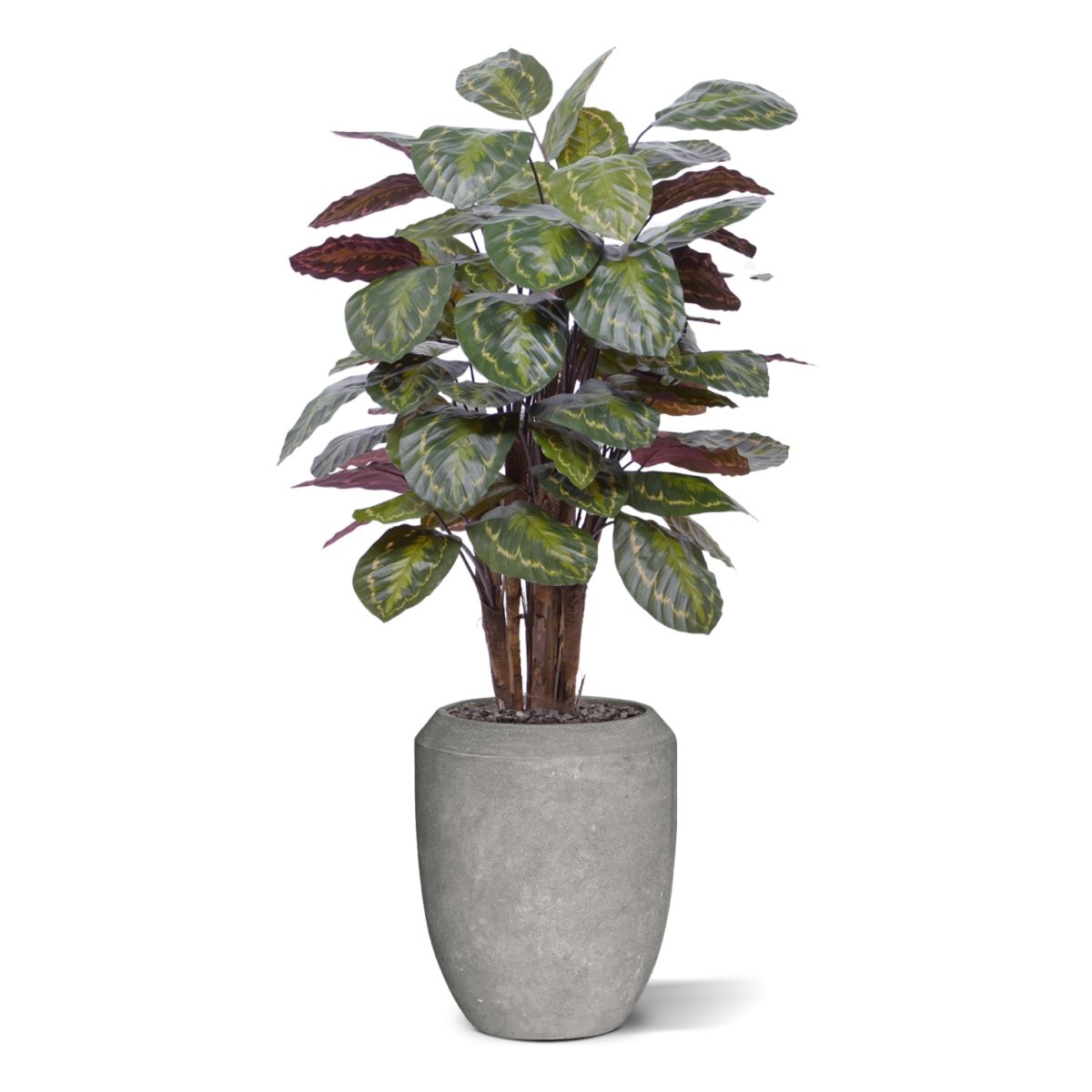 Calathea Roseopicta kunstplant Deluxe 125cm rood