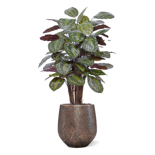 Calathea Roseopicta kunstplant Deluxe 125cm rood