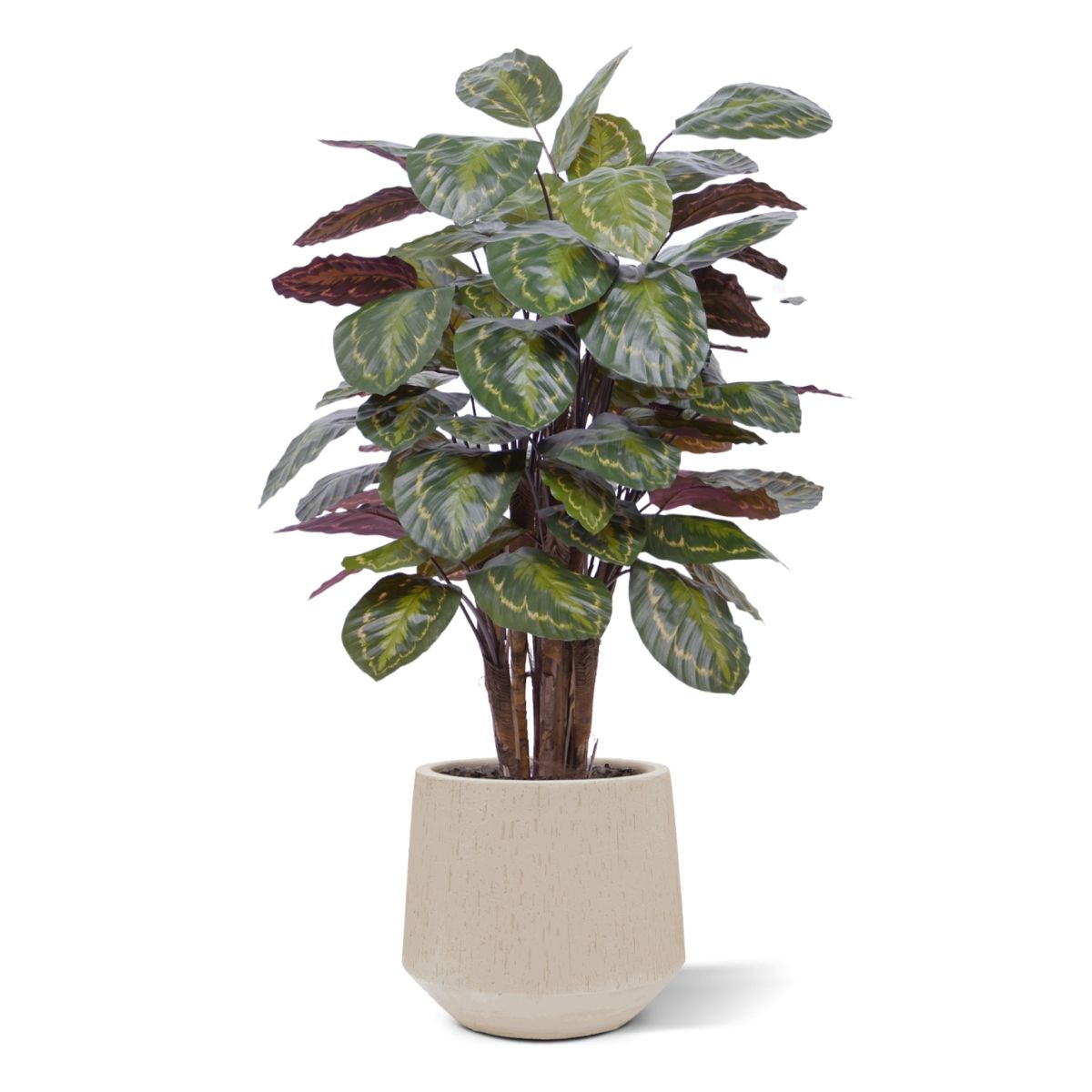 Calathea Roseopicta kunstplant Deluxe 125cm rood
