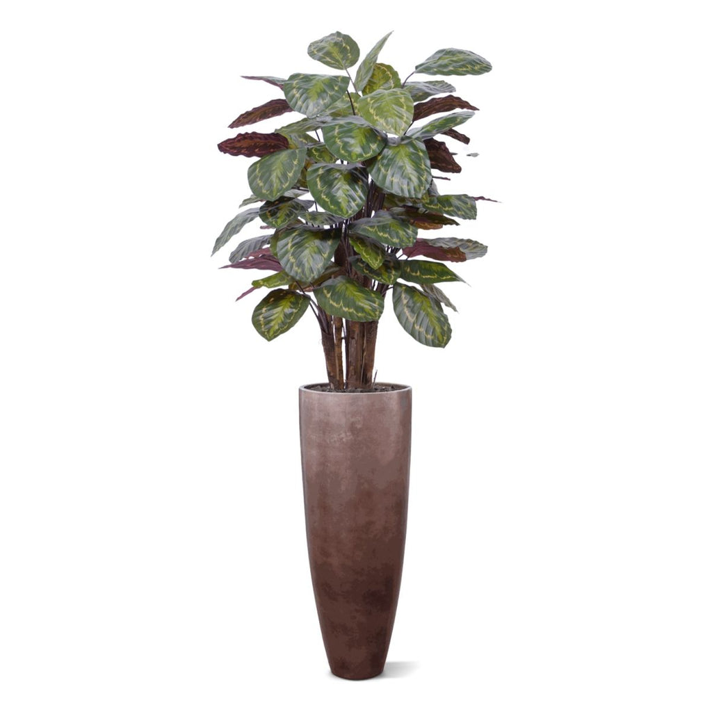 Calathea Roseopicta kunstplant Deluxe 125cm rood
