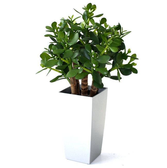 Crassula kunst vetplant 40cm