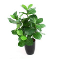 Clusia kunstplant 40cm in pot 10cm