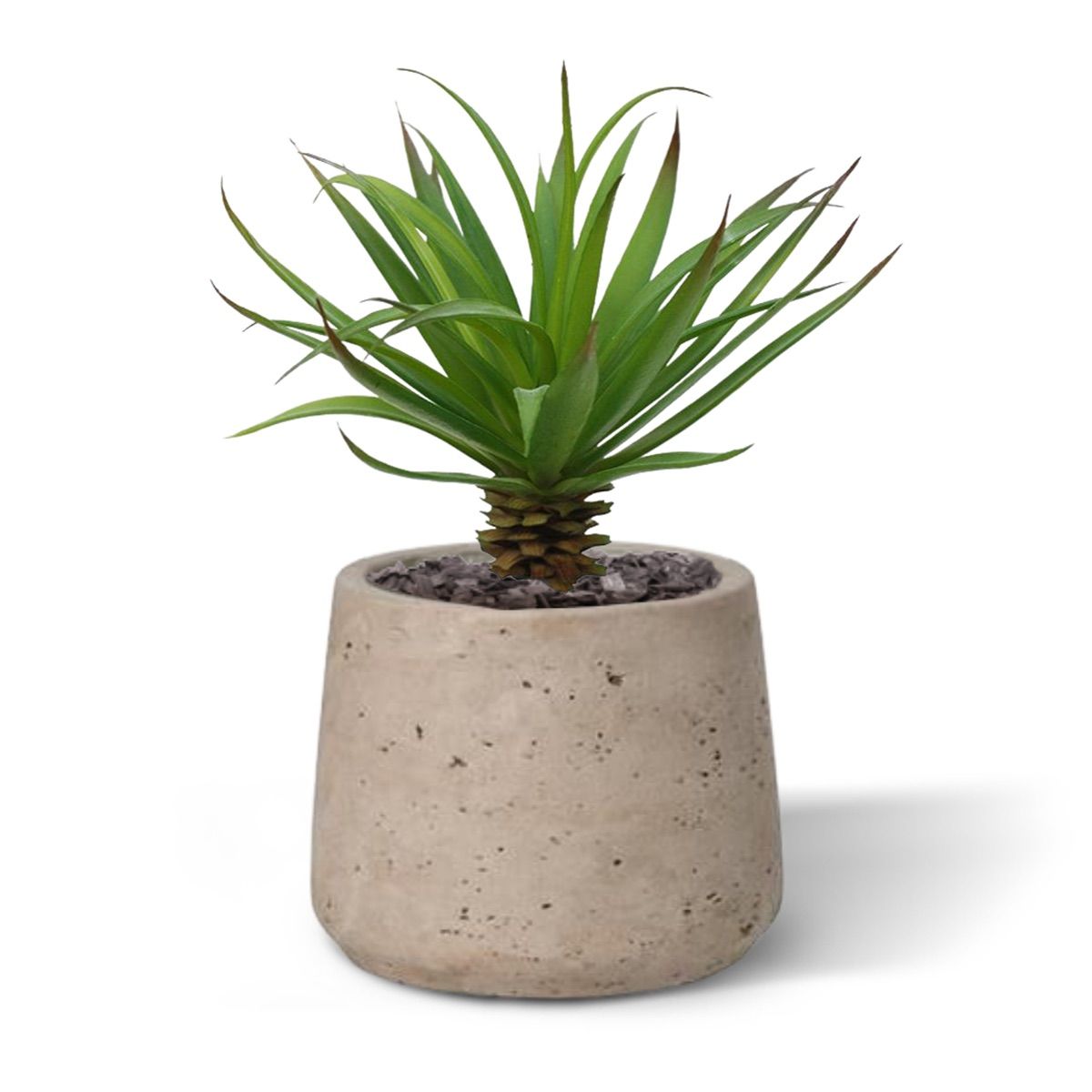 Marginata Mini kunstplant 18cm