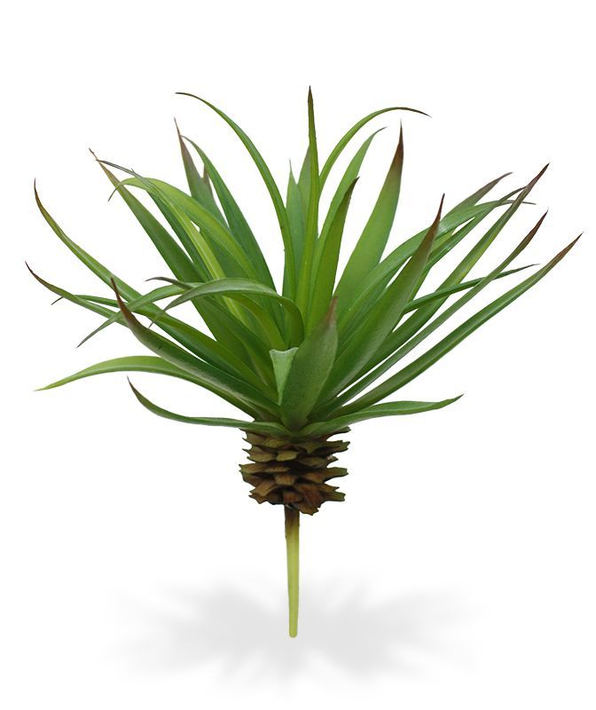 Marginata Mini kunstplant 18cm