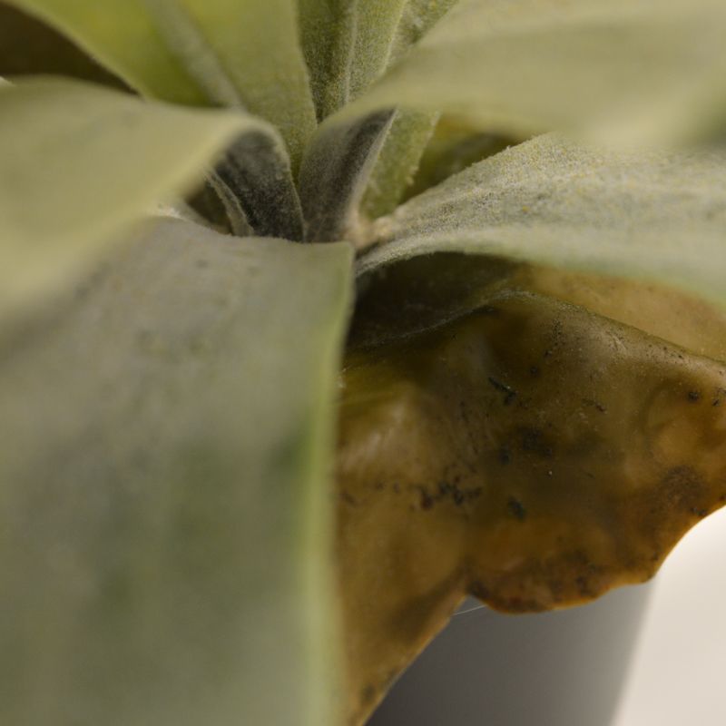 Hertshoorn kunstplant 30cm zonder kweekpotje