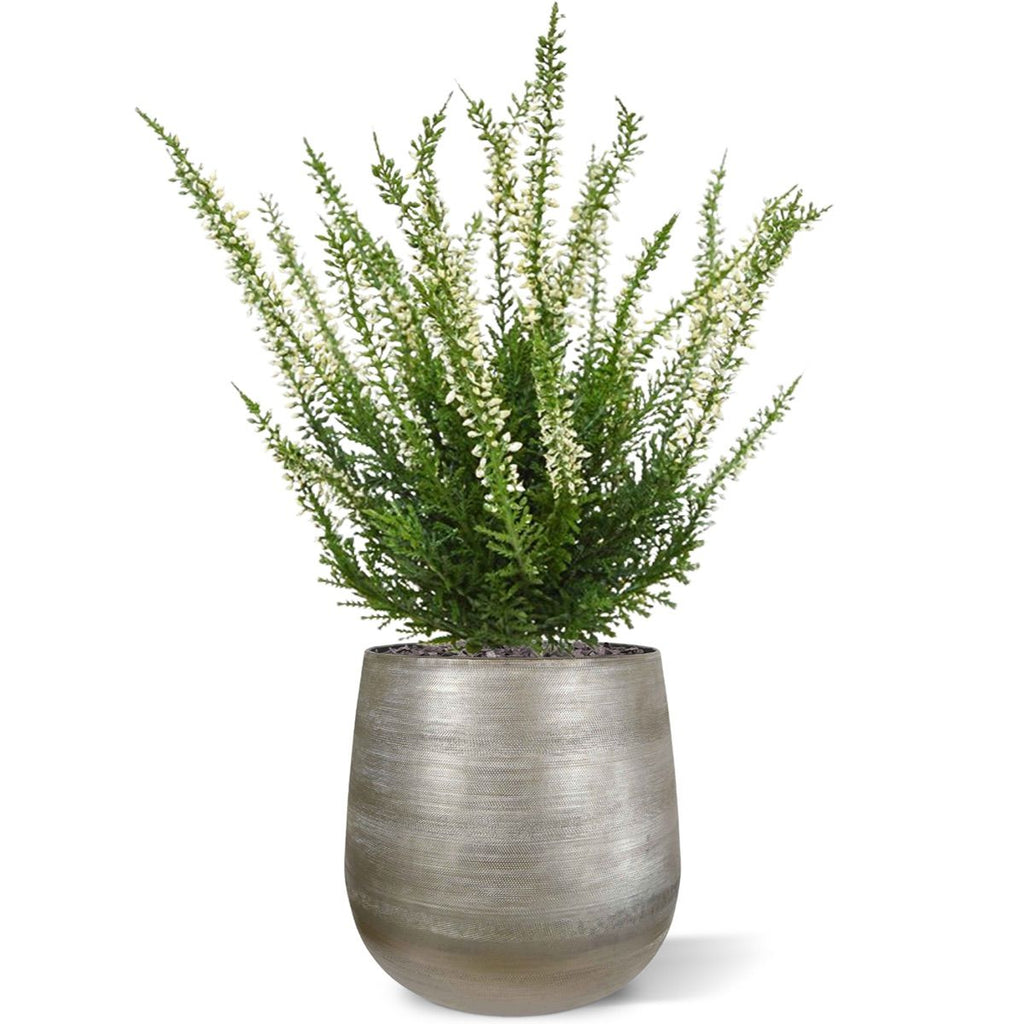 Erica heide kunstplant 25cm - creme of roze met kweekpotje