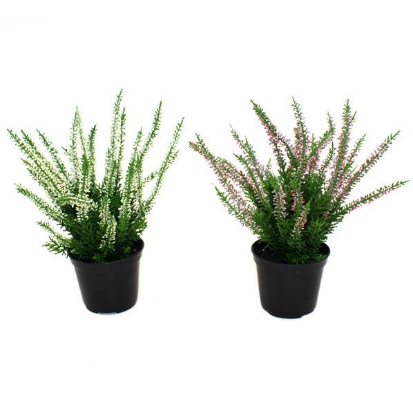 Erica heide kunstplant 25cm - creme of roze met kweekpotje