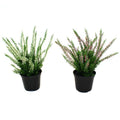 Erica heide kunstplant 25cm - creme of roze met kweekpotje