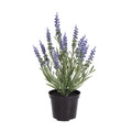 Lavender kunstplant 30cm UV blauw in kweekpot 10cm