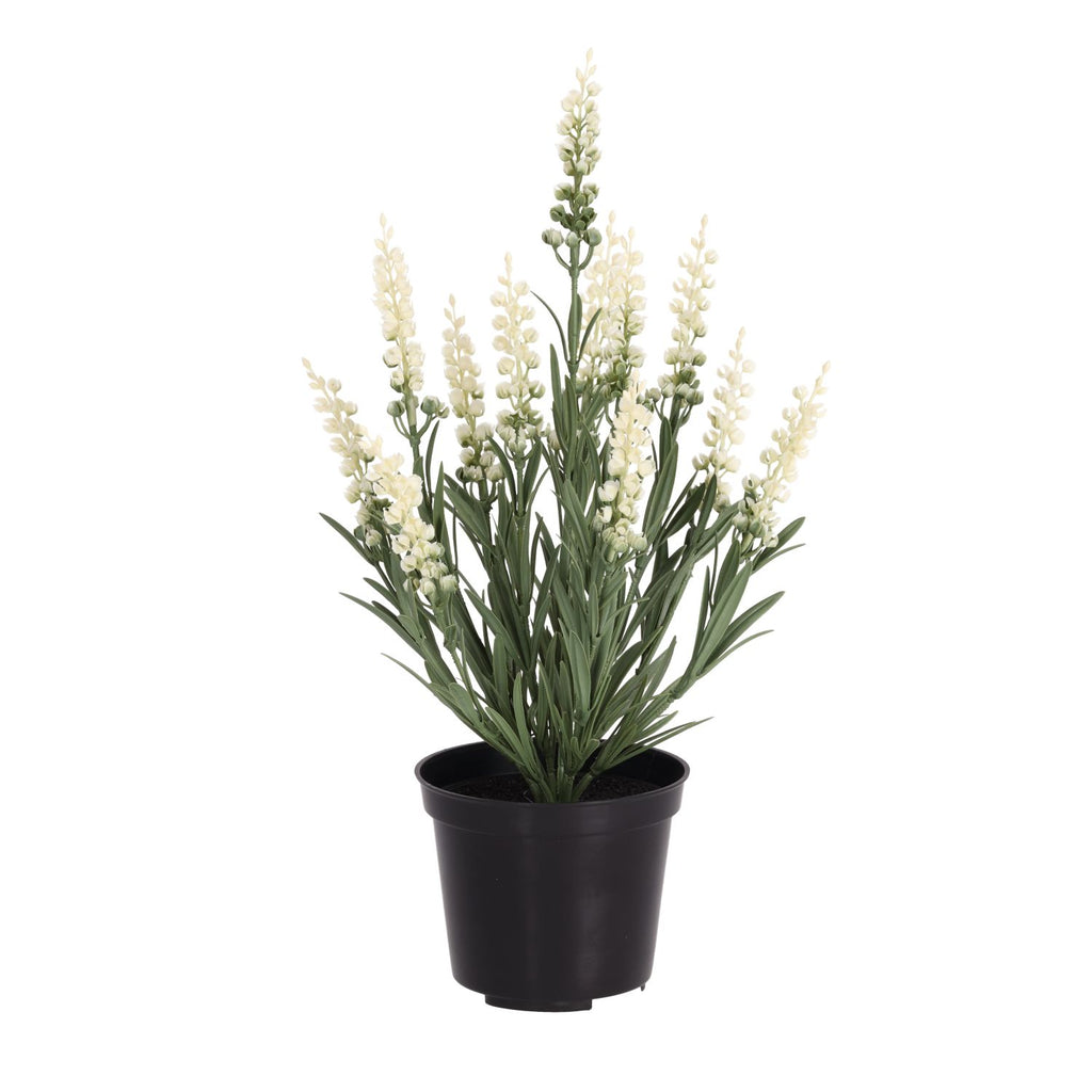 Kunstplant lavendel wit 30cm UV in kweekpot 10cm
