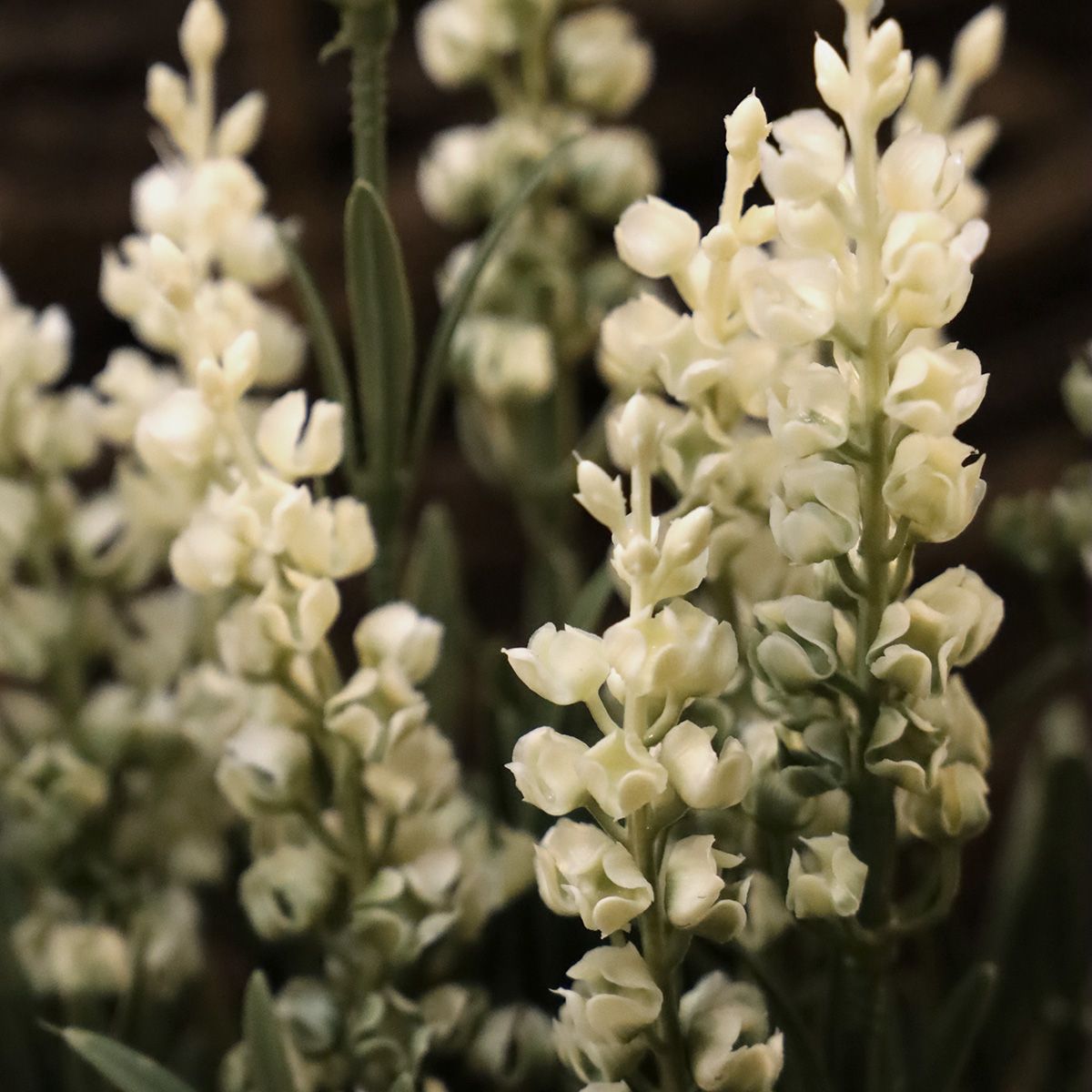 Kunstplant lavendel wit 30cm UV in kweekpot 10cm