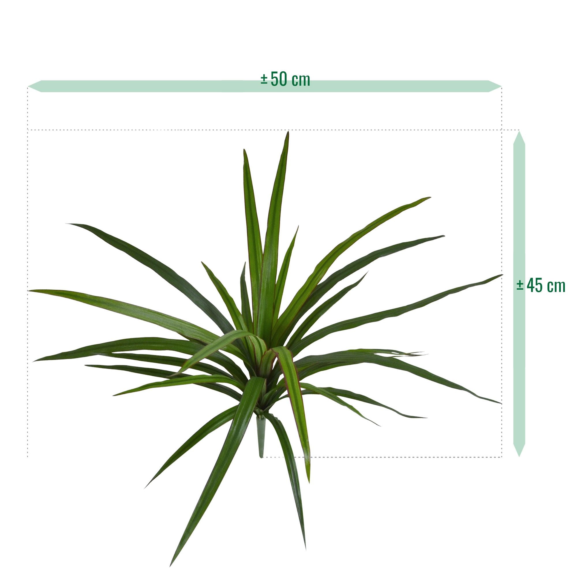 Draceana Marginata Kunstplant 40cm