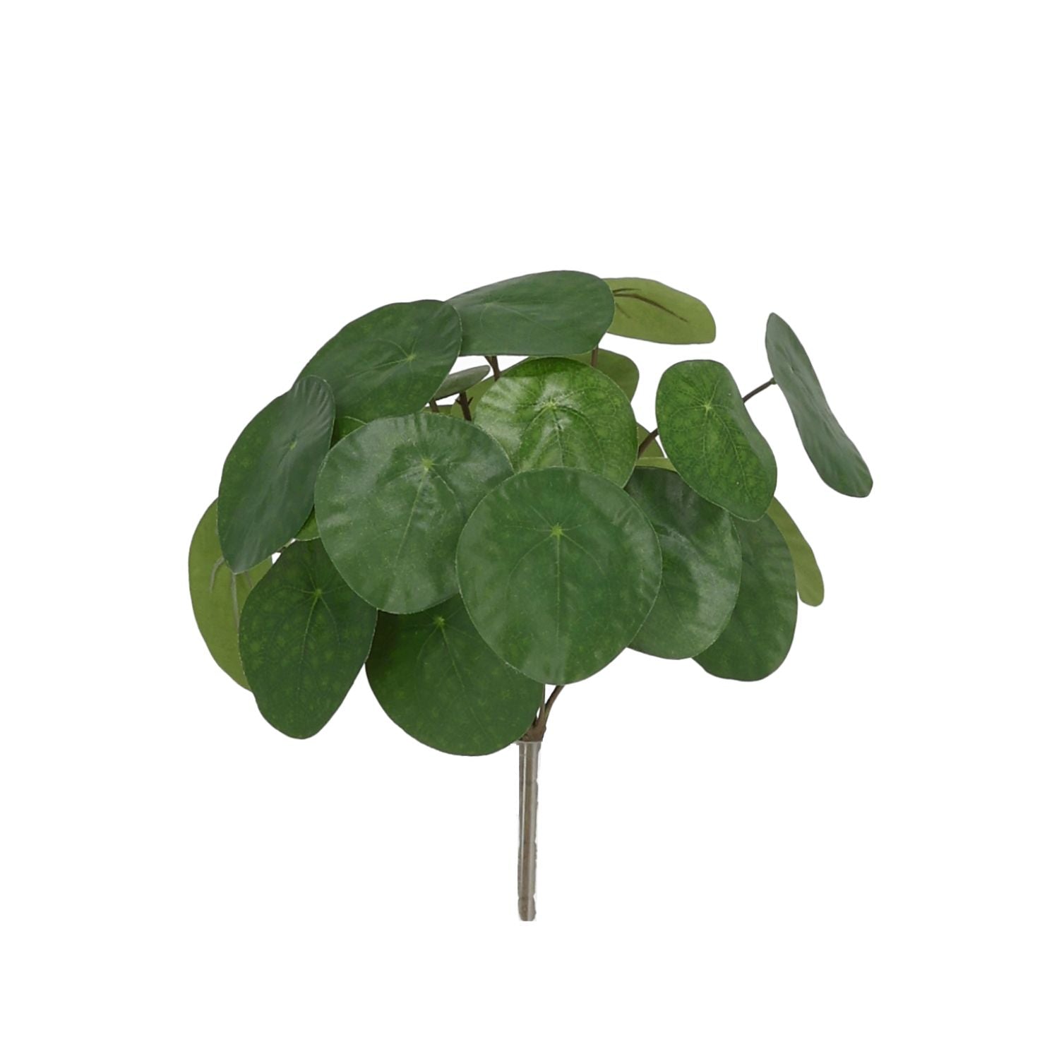 Pannenkoek Kunstplant 30cm