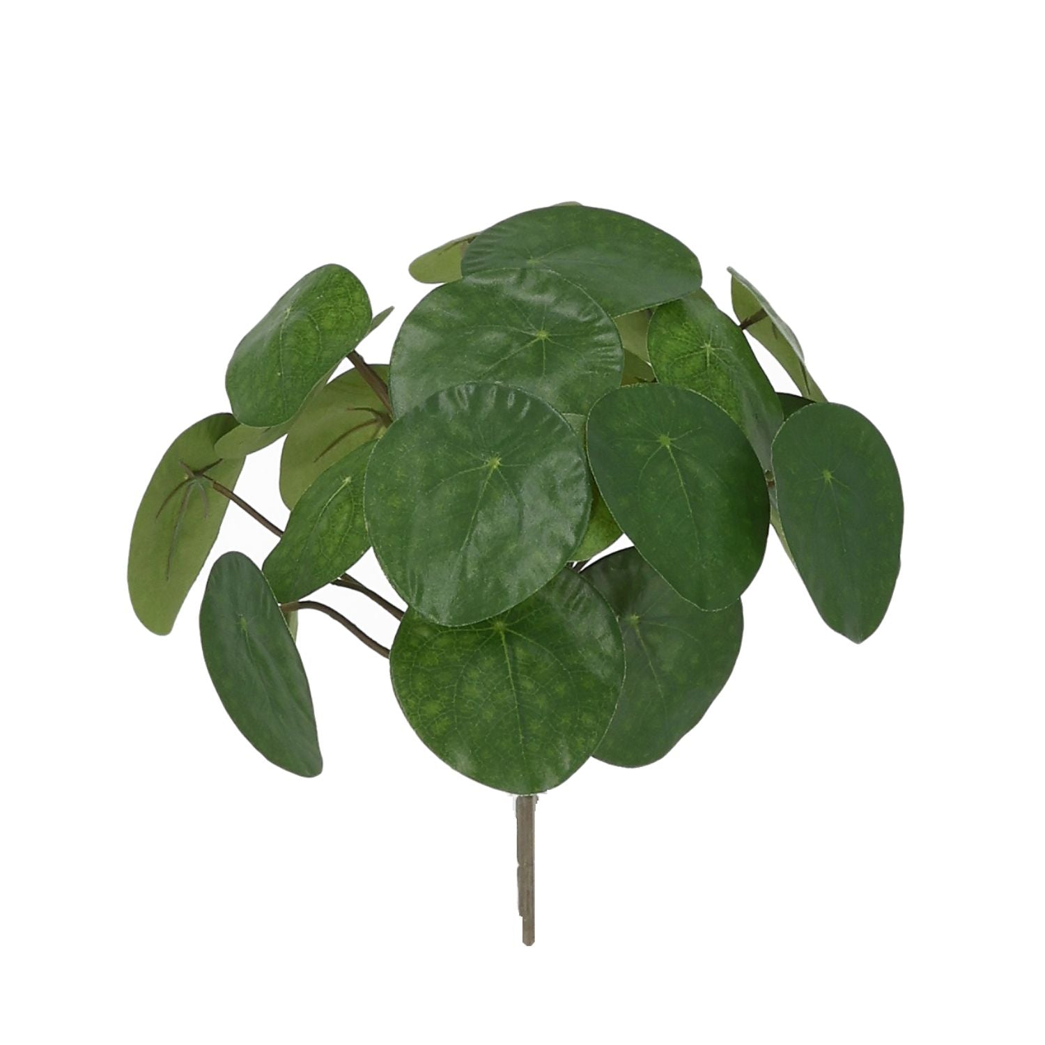 Pannenkoek Kunstplant 30cm