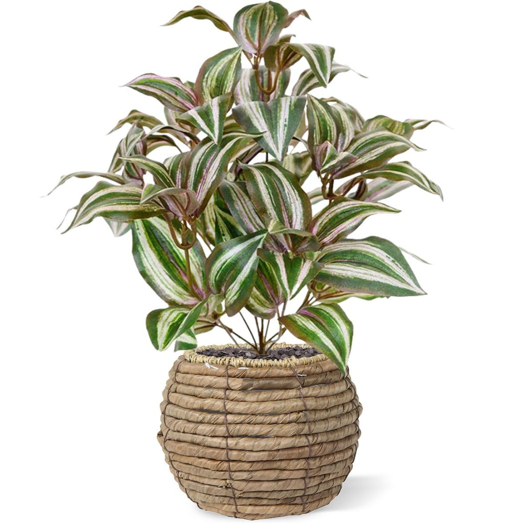 Tradescantia Zebrina kunstplant 40cm met kweekpotje