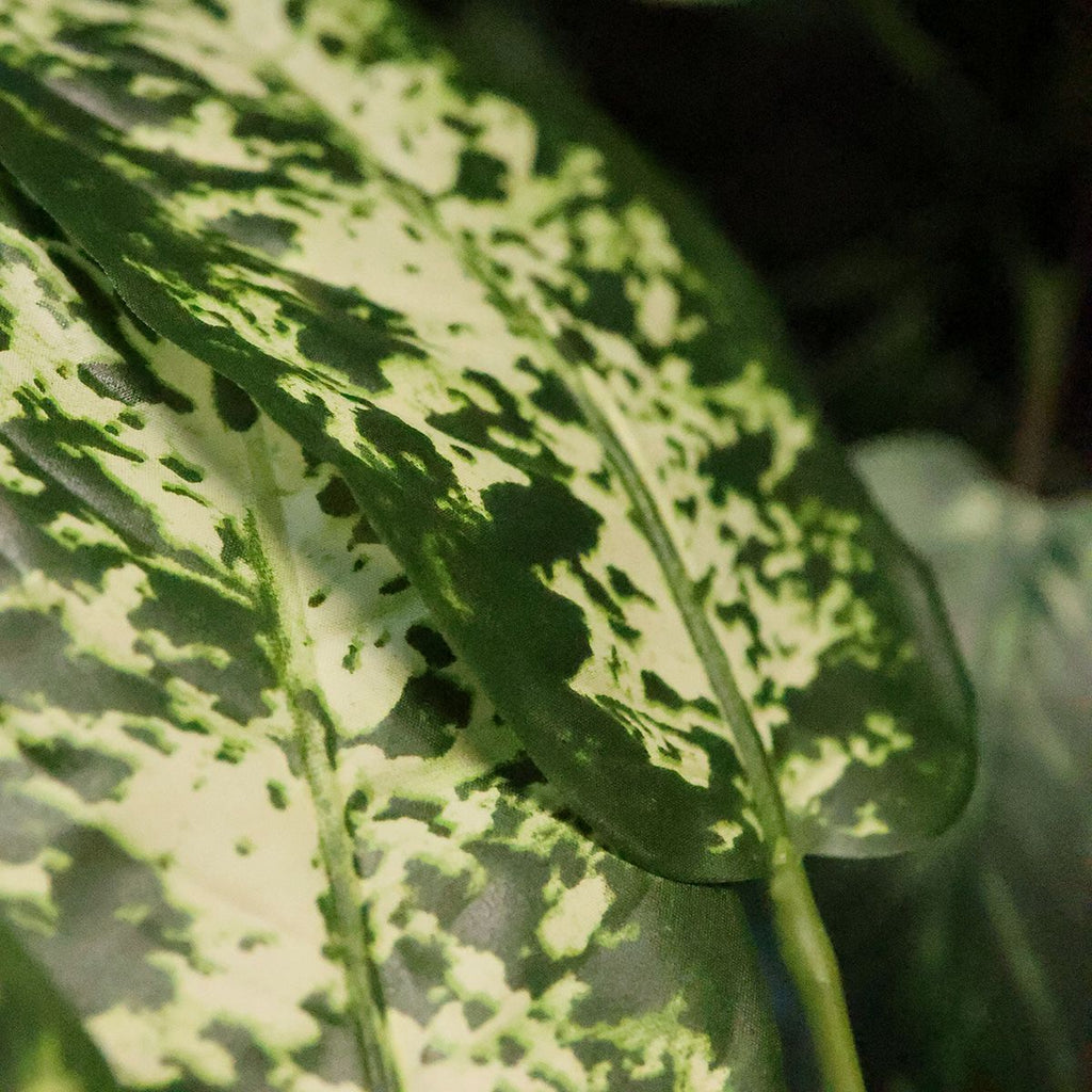 Dieffenbachia Kunstplant 110cm Deluxe