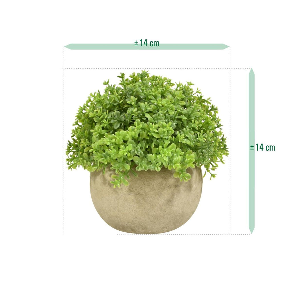 Mini Buxus kunstplant in pot 14cm - groen