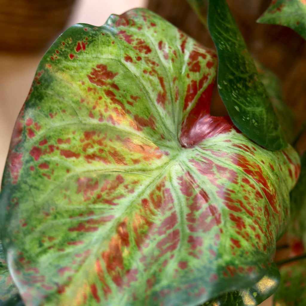 Caladium raspberry kunstplant 40cm zonder kweekpotje