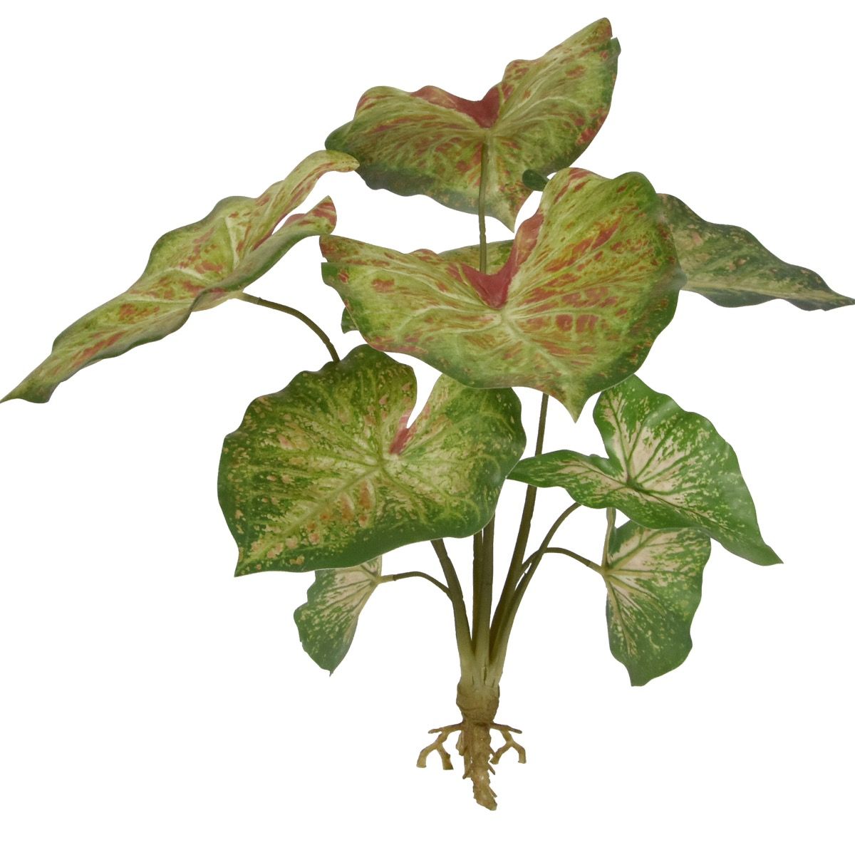 Caladium raspberry kunstplant 40cm zonder kweekpotje