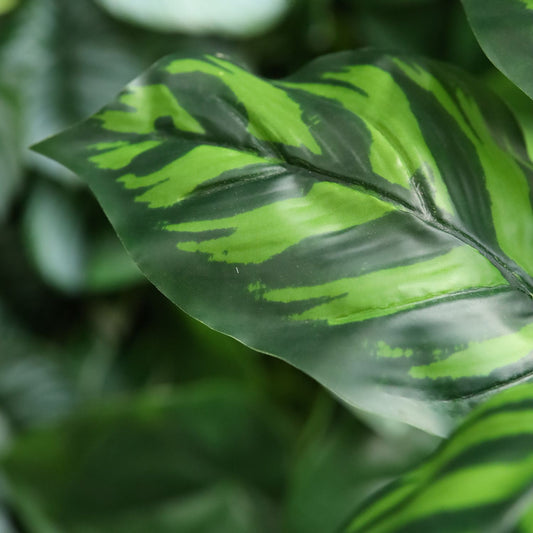 Calathea Maranta Kunstplant 40cm