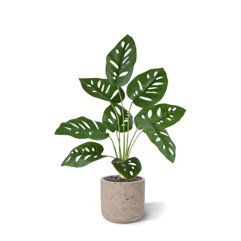 Monstera Adonsonii kunstplant 40cm in pot