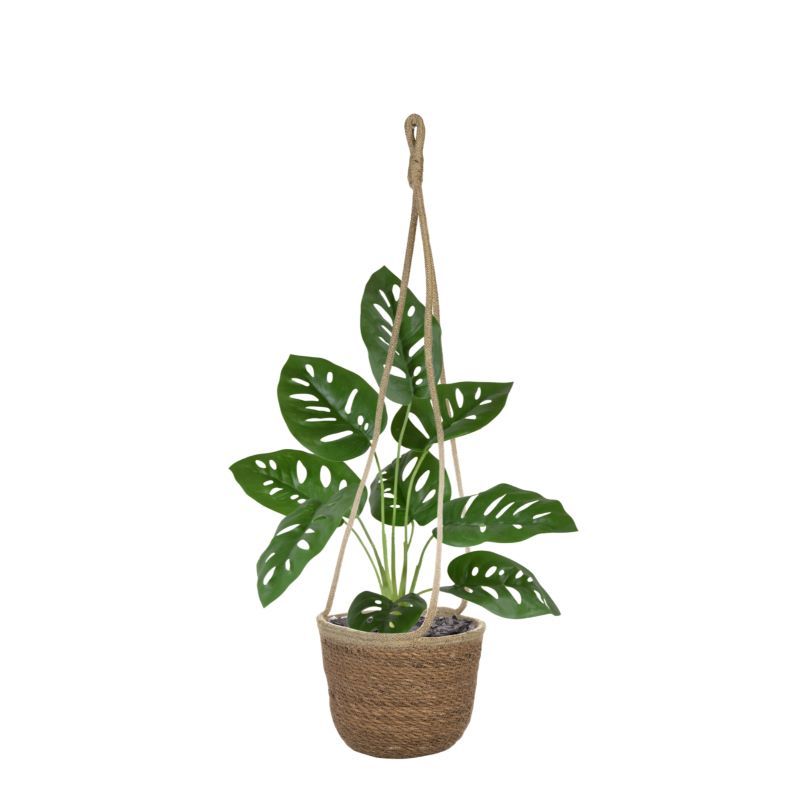 Monstera Adonsonii kunstplant 40cm in pot
