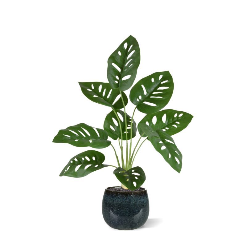 Monstera Adonsonii kunstplant 40cm in pot