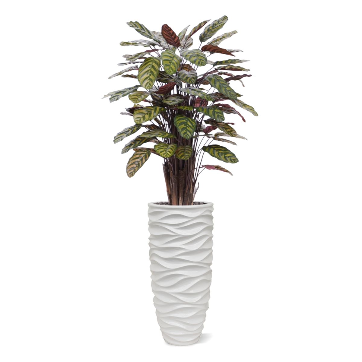 Red Calathea Makoyana kunstplant Deluxe 115cm