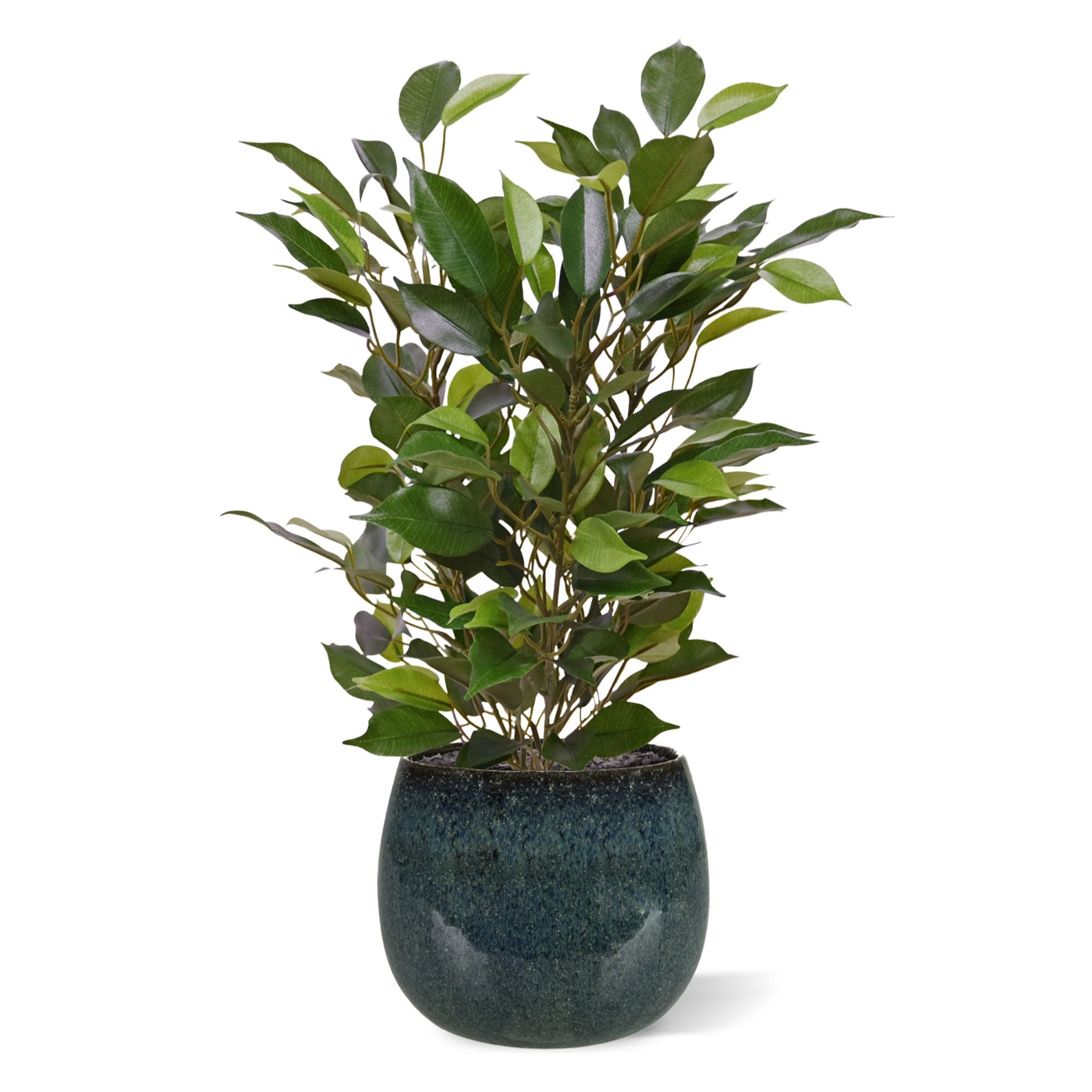 Ficus Natasja Kunstplant 40cm in 10cm pot