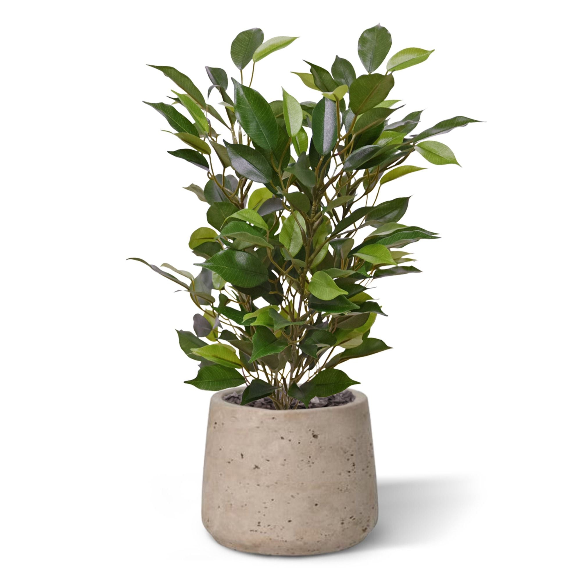 Ficus Natasja Kunstplant 40cm in 10cm pot