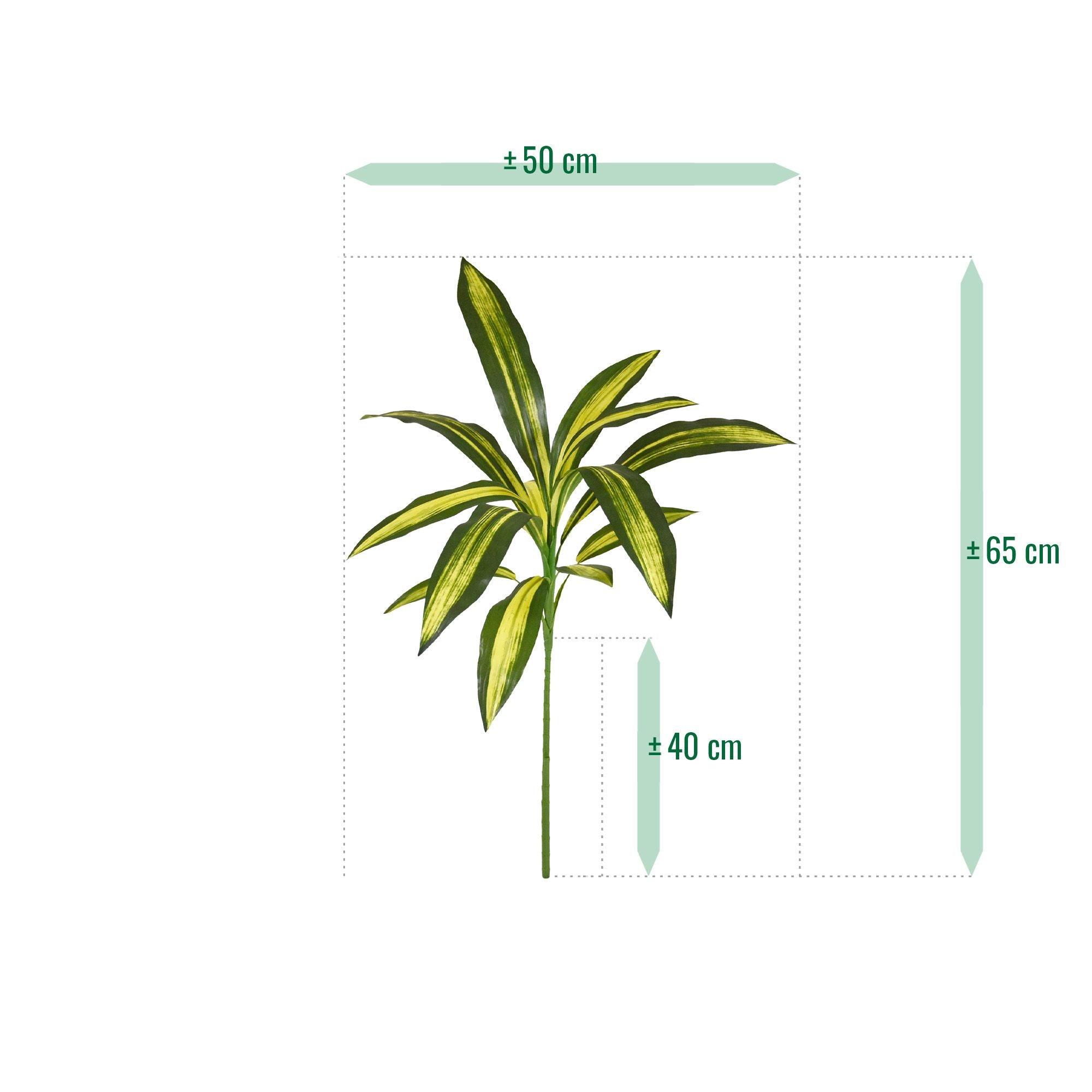 Draceana Fragrans 70cm Kunstplant Burley
